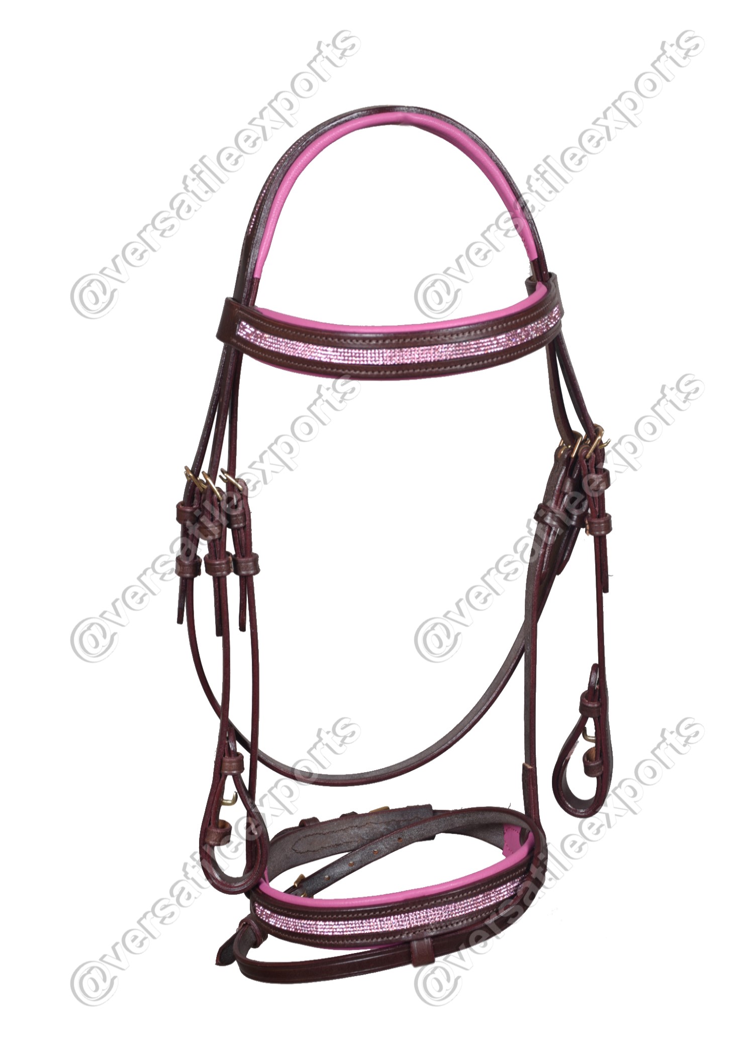 Bridle Shiny